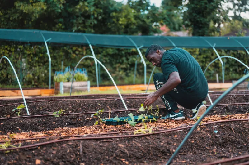 After the Shelves Go Empty: How Local Food Networks Are Building the Resilience America's Supply Chain Cannot