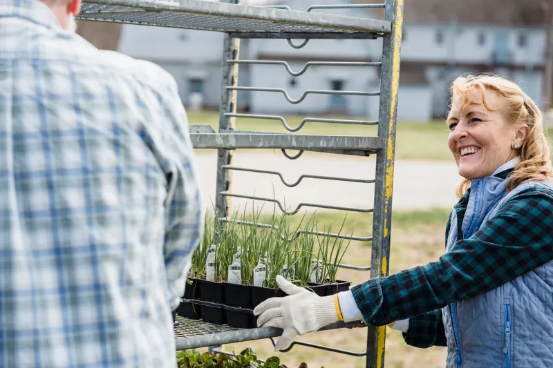Growing Power: How Community Gardens Are Redefining Food Access and Self-Determination in American Neighborhoods
