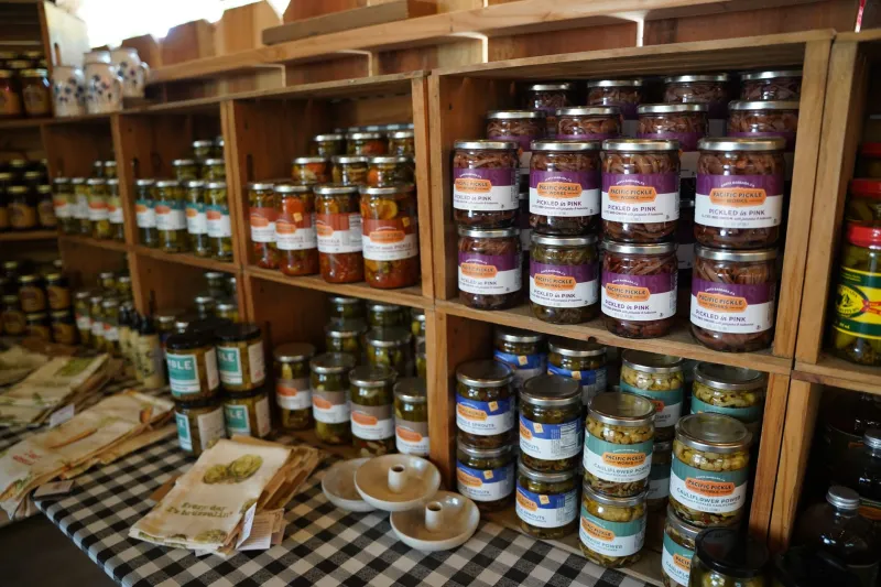 Beyond the Handout: How Food Pantries Are Reimagining Themselves as Places of Belonging