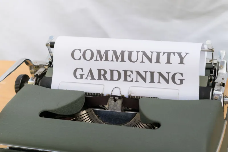 Growing More Than Food: How Urban Farming Cooperatives Are Cultivating Economic Power From the Ground Up